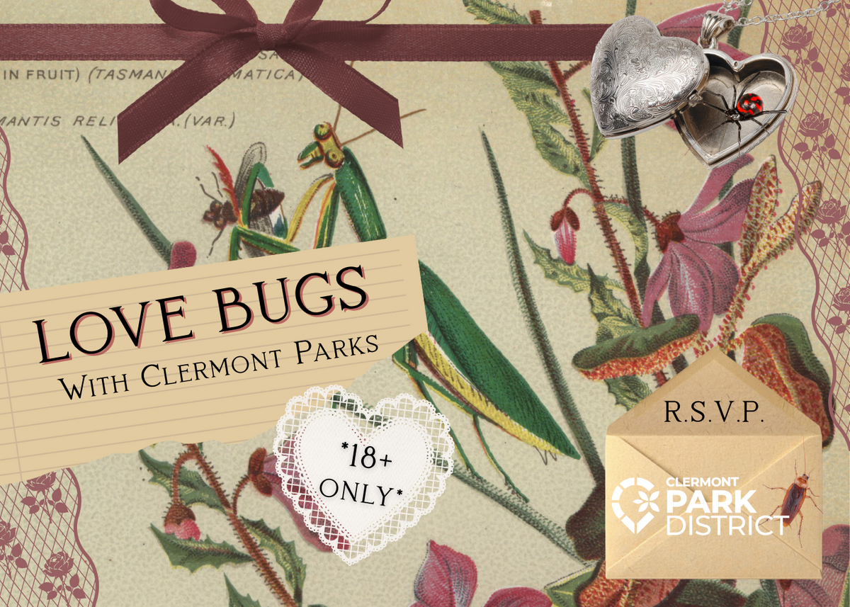 Love bugs with Clermont Parks is written over a scrapbook collage featuring a praying mantis